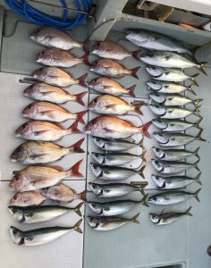 さぶろう丸 釣果