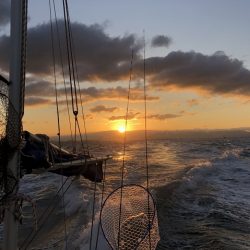 フィッシングボートACE(エース) 釣果