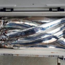 釣り船くわだ 釣果