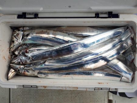 釣り船くわだ 釣果