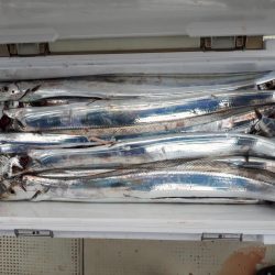 釣り船くわだ 釣果