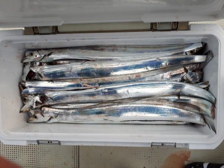 釣り船くわだ 釣果