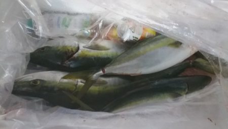 釣り船武蔵 釣果