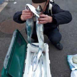 釣り船くわだ 釣果