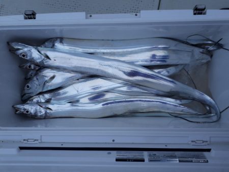 釣り船くわだ 釣果