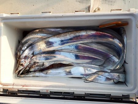 釣り船くわだ 釣果