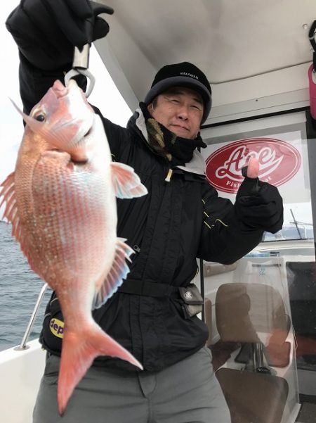 フィッシングボートACE(エース) 釣果