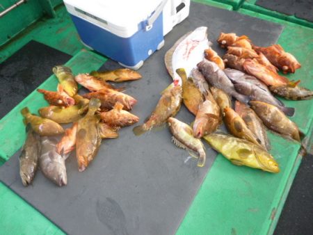 真祐丸 （しんゆうまる） 釣果