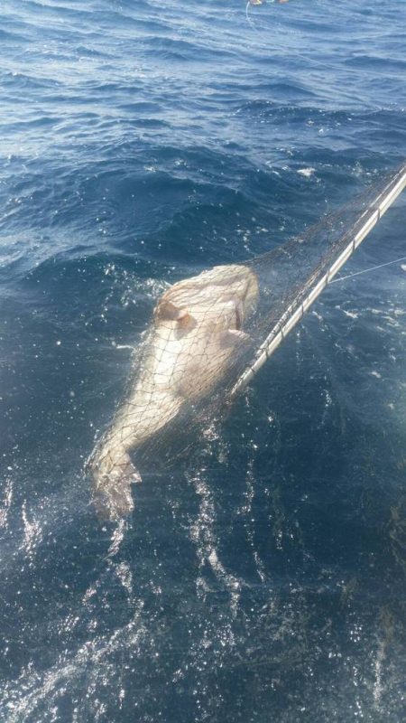 第五慶門丸 釣果