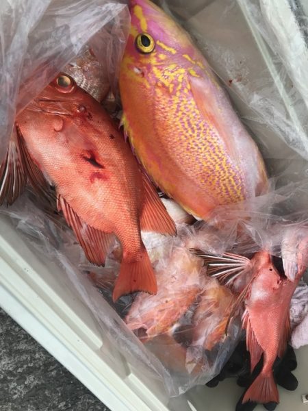 寿裕 （YOSHIHIRO） 釣果