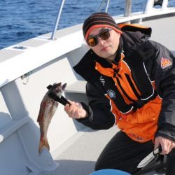 へいみつ丸 釣果