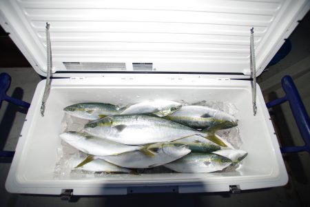 オーシャンズ　京都 釣果