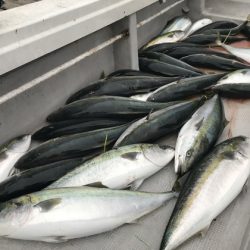 寿裕 （YOSHIHIRO） 釣果