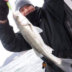 ＢｌｕｅＮｏｔｅ　Ｆｉｓｈｉｎｇ　Ｔａｘｉ 釣果