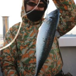 へいみつ丸 釣果