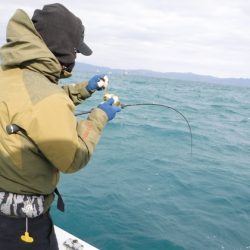 ＢｌｕｅＮｏｔｅ　Ｆｉｓｈｉｎｇ　Ｔａｘｉ 釣果