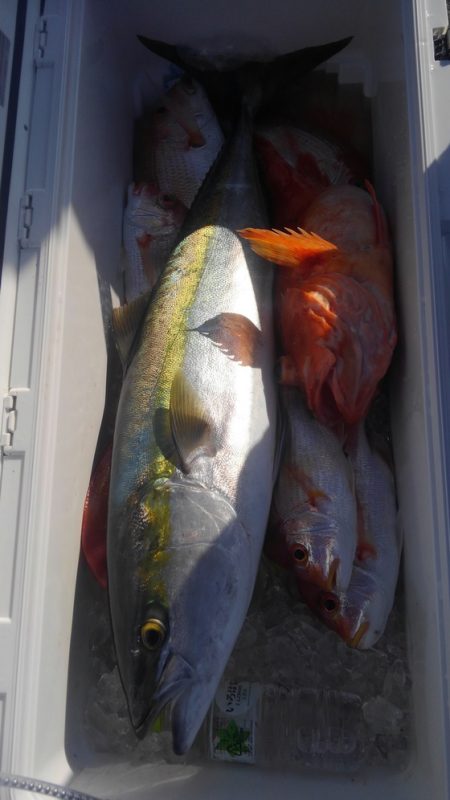 遊漁船 新鋭丸 釣果