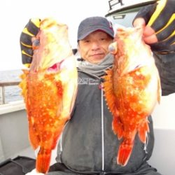 鯛紅丸 釣果