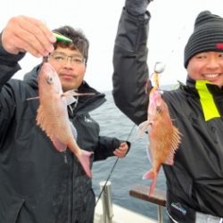 鯛紅丸 釣果