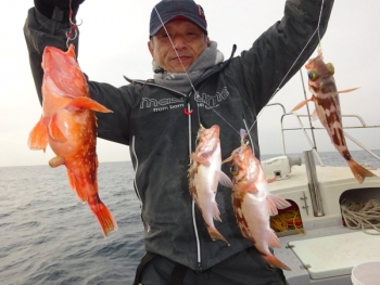 鯛紅丸 釣果