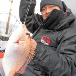 鯛紅丸 釣果