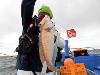 鯛紅丸 釣果