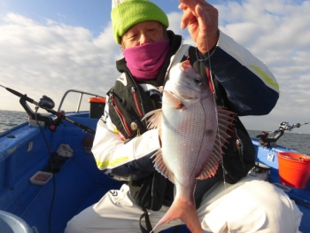 鯛紅丸 釣果