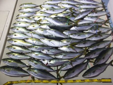 Hit Rush(ヒット ラッシュ） 釣果…