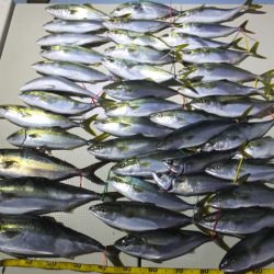 Hit Rush(ヒット ラッシュ） 釣果