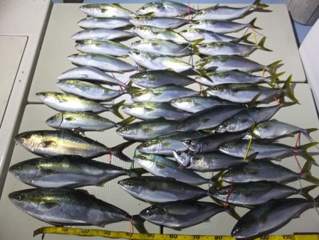 Hit Rush(ヒット ラッシュ） 釣果…