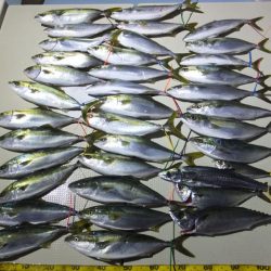 Hit Rush(ヒット ラッシュ） 釣果