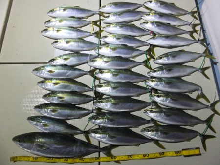 Hit Rush(ヒット ラッシュ） 釣果…