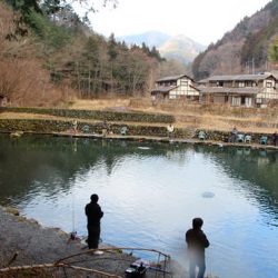 小菅トラウトガーデン 釣果