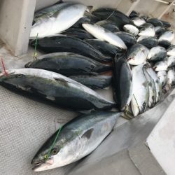 寿裕 （YOSHIHIRO） 釣果