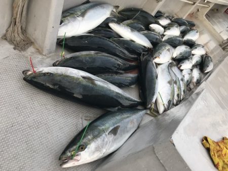 寿裕 （YOSHIHIRO） 釣果