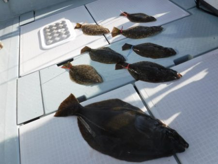 遊漁船 幸友丸 釣果