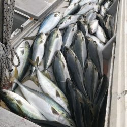 寿裕 （YOSHIHIRO） 釣果