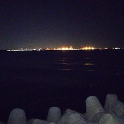 潮は悪いが釣りがしたい！