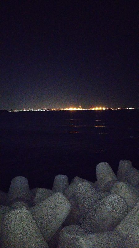 潮は悪いが釣りがしたい！