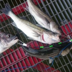 極寒の釣り公園