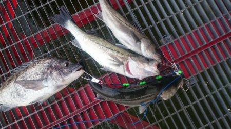 極寒の釣り公園