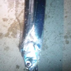 みんな頑張ってます