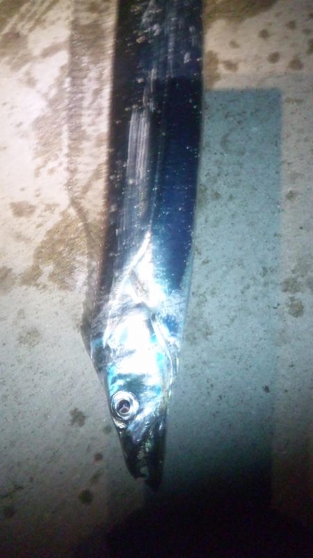 みんな頑張ってます