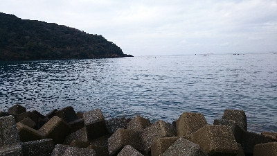 ヒラメのはずが