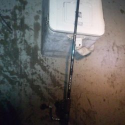 みんな頑張ってます