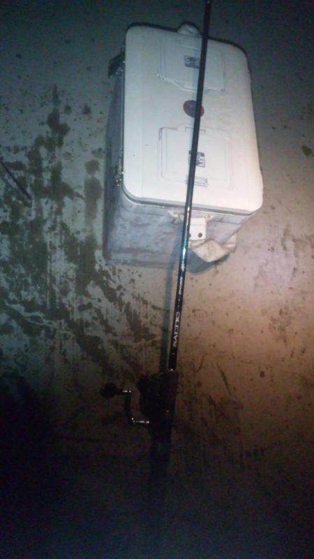 みんな頑張ってます