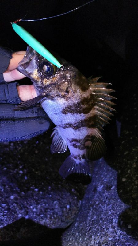 なんだかなぁー