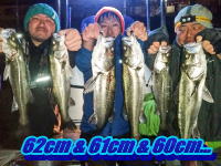 オーシャンマスター 釣果