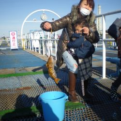 オリジナルメーカー海づり公園(市原市海づり施設) 釣果