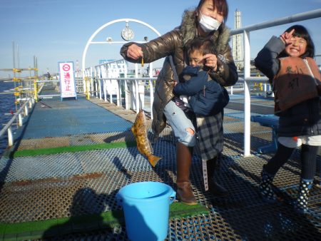 オリジナルメーカー海づり公園(市原市海づり施設) 釣果